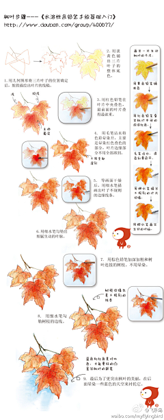 朝紅顏、暮枯骨☀采集到枫