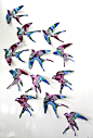 Set of 10 3D Handcrafted Flying Birds Wall Art, Gift Toppers, Special Occasions