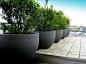 Urbis Globe planters on roof terrace.: 