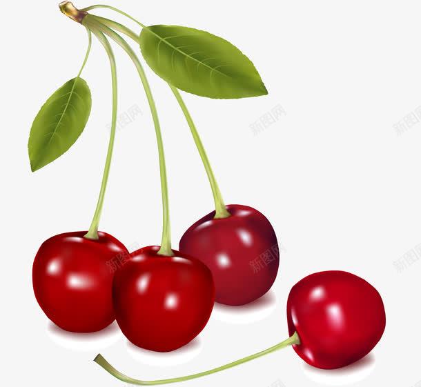 2ce1611995b152566b3bcb7e73c5969feeee864057f4-qzIRDk