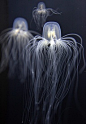 Jellyfish. #nature #ocean