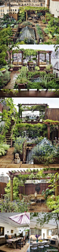 麦哈顿、纽约、屋顶、开放式厨房、大花园。除了屋顶，其他的，大家都可以来美好家园+胖龙丽景DIY创意花园亲手实现！