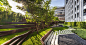 TROP Landscape | 72 Courtyard : TROP : 72 Courtyard