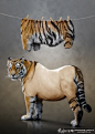 老虎创意广告设计 虎皮大衣元素创意保护动物主题公益广告设计作品欣赏 晾衣绳元素海报