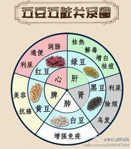 【豆类与五脏的关系】一张图让你看懂红豆、...