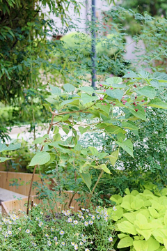 白一点bbi采集到细节/室外家具坐凳阳伞座椅