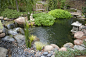 Hometalk :: A pond or water garden doesn't have to be large to be enjoyable or bea…