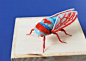 Periodical Cicada on Behance