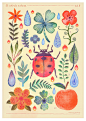 Et coloris natura : Watercolor illustrations of various plants and animals