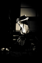 ♂ Black & white photography World martial art Japanese Kendo