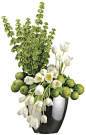 Tulip, Apple and Bells of Ireland Arrangement in Oval Vase, White and Green, Home Office Decor Plant: 