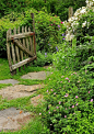 Perfect! Whimsical Raindrop Cottage, kidstonscottage: linxy-zn: Secret Gardens / an...
