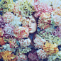 oprisco photography - portfolio