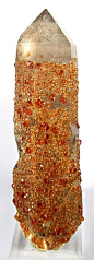 Spessartine, Quartz (Var: Smoky Quartz) - - Archived  Wushan // Spessartine Mine, Tongbei, Yunxiao Co., Zhangzhou Prefecture, Fujian Province, China