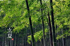 河水清且涟猗采集到二十四节气