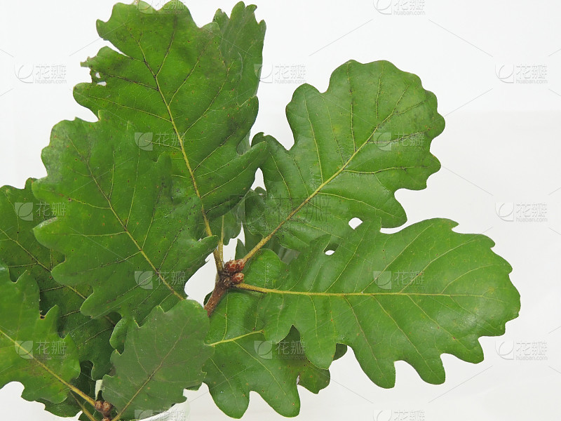 2d47e40e141bb7ca51b63d5e819fba76c2ceccdf24be3-2Jckx9