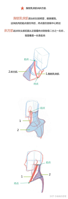 社畜工具人采集到结构