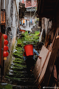 丽兹果采集到市井 人文 生活