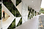 Green wall. Living wall.: 