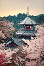 travelingcolors:

Kinpusenji pagoda, Mount Yoshino | Japan (by Rickuz)
