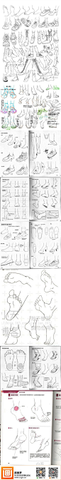 人体结构之脚的绘画教程~需要的同学赶紧抱...