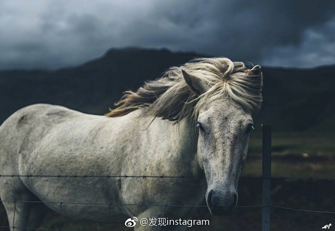 发现instagram的照片 - 微相册