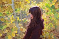 李靜兒采集到Jeremy Lipking