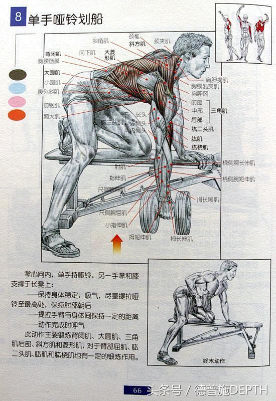 男士健身方案（请收藏）