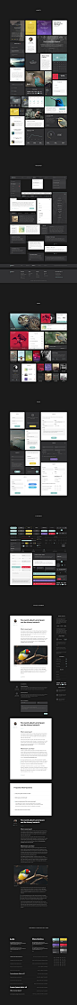 Preview aves ui kit all elements