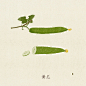 蔬食绘画系列其二-Dune鸟__涂鸦王国插画