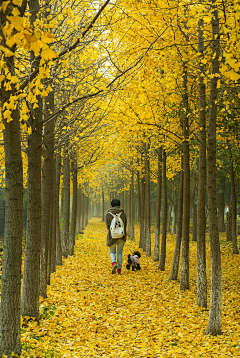 bbbubble_采集到picture | VIEW & NATURE