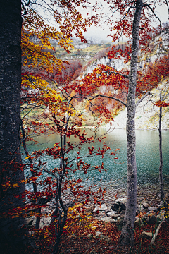 土豆Sue采集到Scenery-Water