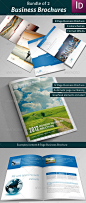 商业宣传册模板2种(Bundle of 2 Business Brochures) | TIME2C