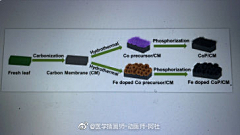 医学插画师动画师阿杜采集到科研绘图-科学插画-科幻插画