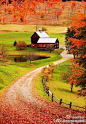 这是位于美国康涅狄格州东北部的伍德斯托克小镇，秋天，枫叶铺满了小径，十分美丽 #人文艺术# #童话#