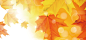 秋背景背景图 页面网页 平面电商 创意素材