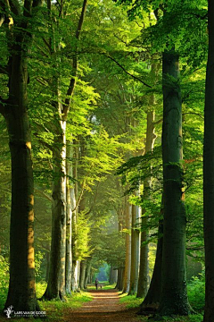 狂风悟天采集到自然风景