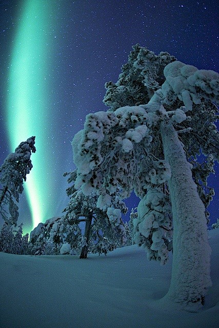 北極光在芬蘭的拉普蘭