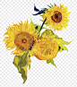 向日葵png贴纸，梵高的画作由rawpixel重新混合，透明背景