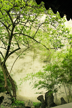 az1采集到无奈的雨诘