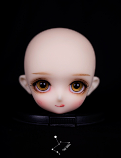 秋果蝇采集到BJD