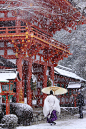 贺茂别雷神社雪，京都，日本