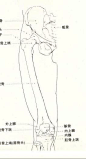 漫画手绘教程 大腿