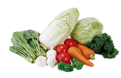 BOOM素材盒采集到蔬菜白菜马铃薯青菜西红柿胡萝卜洋葱芹菜辣青椒PNG免抠图片素材