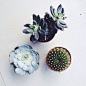 Gnumblr! : kinda makes gifs currently freelances with Tumblr idk does something for #GIF instagram | vsco grid...