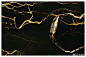 #豹姿魅影#不仅是一枚腕表，更是臻美珠宝。Panthère de Cartier卡地亚猎豹腕表，诠释自由独立，优雅从容。其流畅华丽的设计、隽永独特的造型、柔软服帖的触感，处处彰显着摩登女性的曼妙风姿。Panthère de Cartier卡地亚猎豹腕表现已上市。
点击探索Panthère de Cartier卡地亚猎豹腕表系列： ​​​​...展开全文c