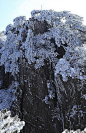 黄山美景：雪霁现山碧，月高露云清！