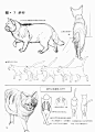 动物的画法日本漫画手绘技法经典教程 速写画法 零基础学画漫画素-淘宝网