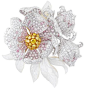 Van Cleef & Arpels, Palais de la Chance: