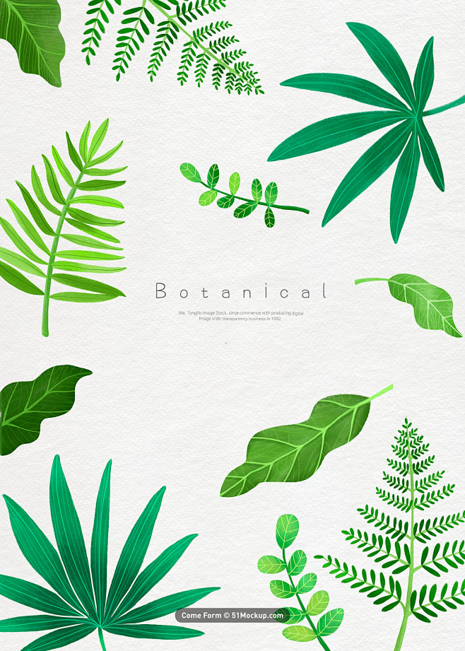 热带植物 多种绿色叶子 水彩手绘插画PS...